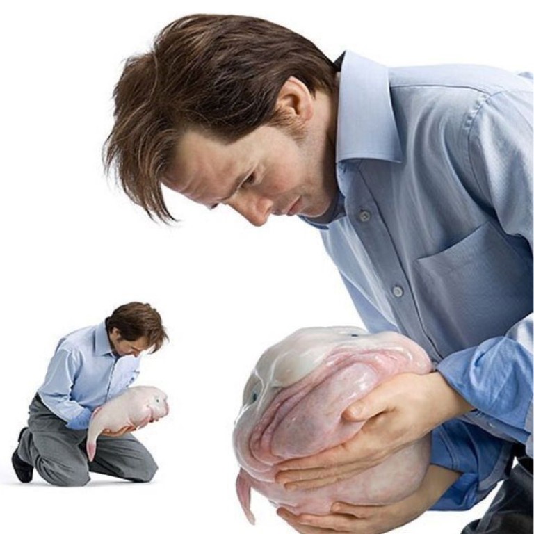 Создать мем: рыба капля в естественной среде, мужчина держит рыбу каплю, мужчина с рыбой каплей