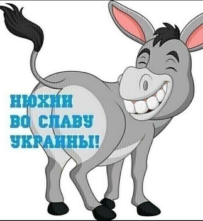 Create meme: The jolly donkey, donkey , cartoon donkey