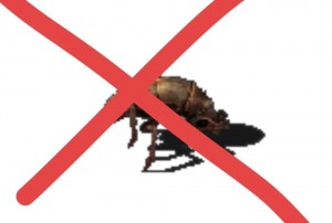 Создать мем: уничтожение насекомых, профилактика блох, насекомое