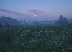 Создать мем: летние пейзажи фотографии, летние пейзажи, живописные пейзажи