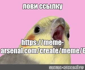 Создать мем: null