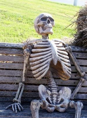 Create meme: waiting skeleton, the skeleton on the bench, skeleton 