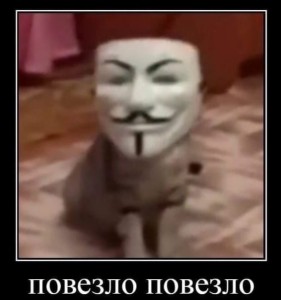 Создать мем: маска анонимуса, кот в маске анонимуса повезло повезло, гай фокс мем