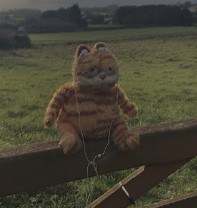 Create meme: garfield the cat toy, Garfield the cat is a stuffed toy, soft toy Garfield