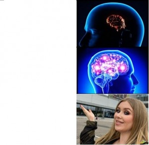 Create meme: the brain, expanding brain meme, brain