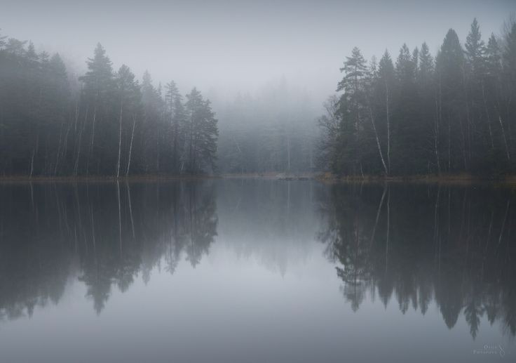 Create meme: misty lake, lake fog, foggy lake Leningrad region