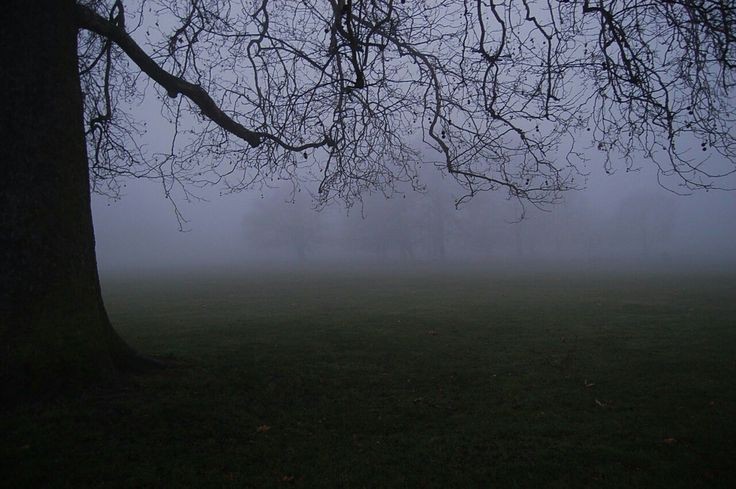 Create meme: nature fog, foggy landscape, darkness