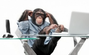 Create meme: chimpanzees, monkey, monkey in the office