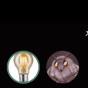 Create meme: lamp, led bulb