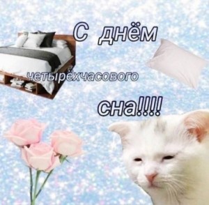 Create meme: white cat, memasuki funny, kitty