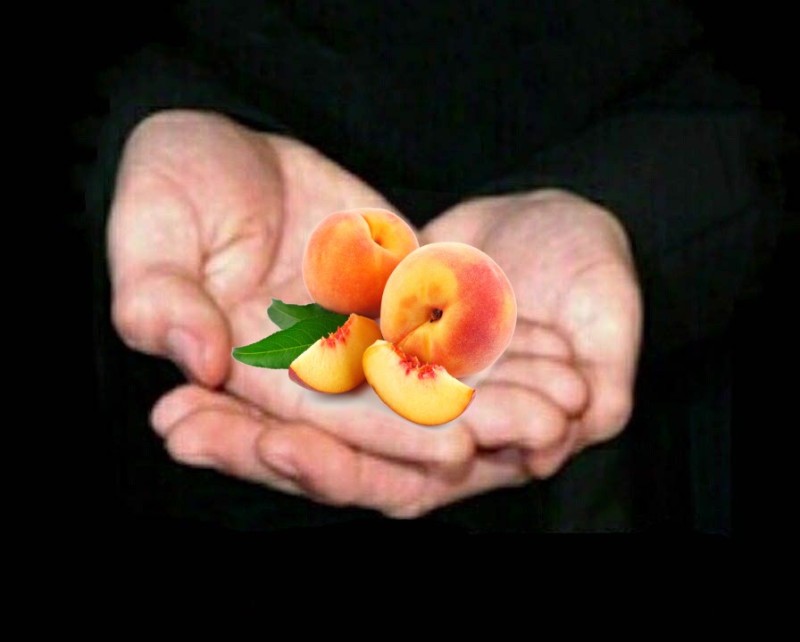 Create meme: apricot peach, nectarine peach, peach 
