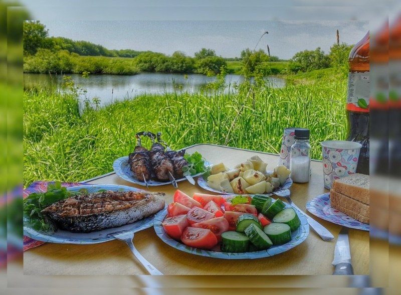 Create meme: barbecue in nature table, outdoors barbecue, kebabs on the lake