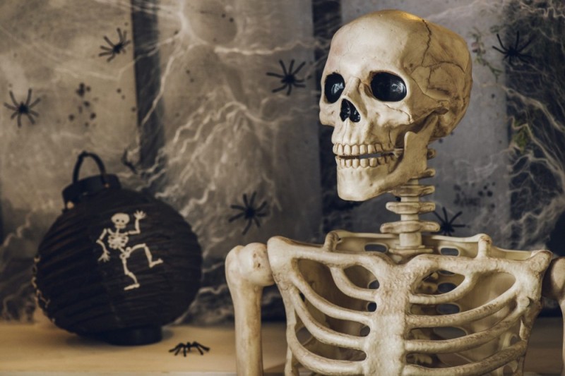 Create meme: The skeleton is a skull, Halloween skeleton, skeletons skeletons