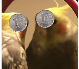 Create meme: memes parrot with mirror, parrot crying, parrots
