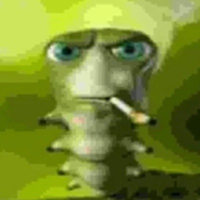 Create meme: funny caterpillar, smoking caterpillar meme, caterpillar meme