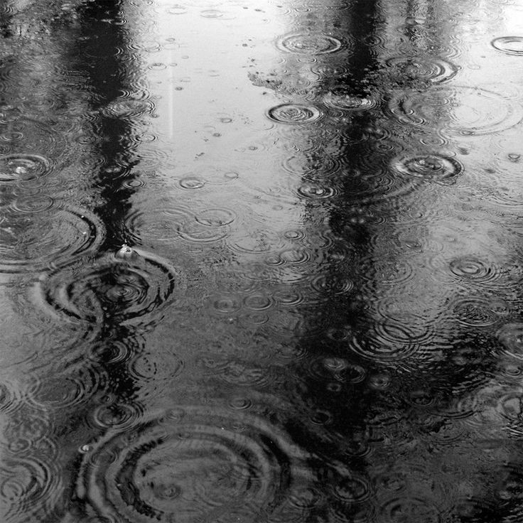 Create meme: raindrops, black and white rain, Drizzle fine rain