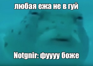 Создать мем: null