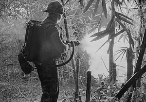 Create meme: the jungles of Vietnam, soldier, vietnam war