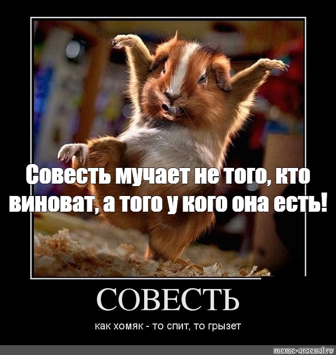 Мучает совесть. Совесть Мем. Мем совесть мучит не того.