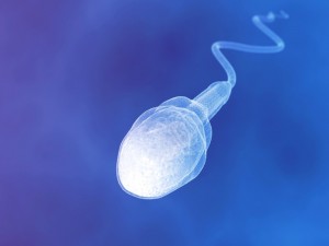 Create meme: sperm double, the male sperm, sperm picture