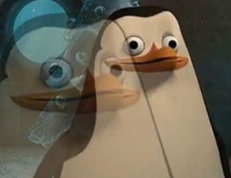 Create meme: The penguin meme from Madagascar, A penguin from Madagascar, private penguins of Madagascar