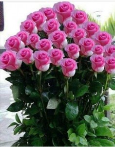 Create meme: beautiful flowers bouquets, the flowers are beautiful, pink roses