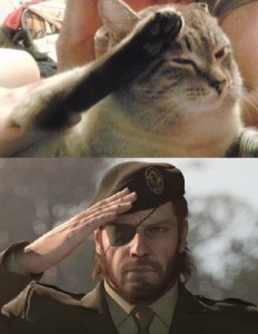 Создать мем: солид снейк отдает честь, кот отдает честь мем, котик отдает честь