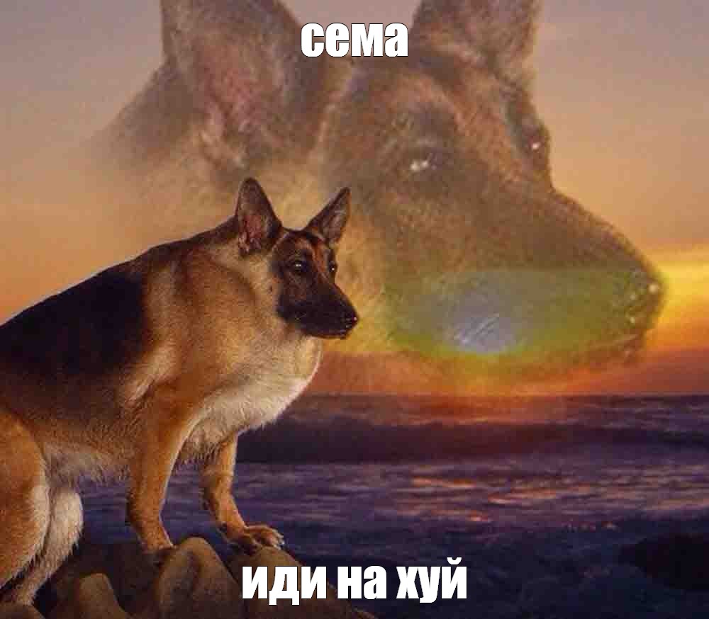 Создать мем: null