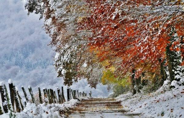 Create meme: autumn snow, late autumn, winter autumn