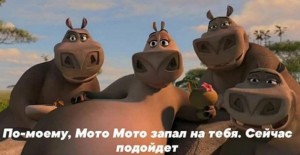 Create meme: Madagascar 2 Moto Moto, Madagascar 2 Hippo Moto Moto, Moto Moto