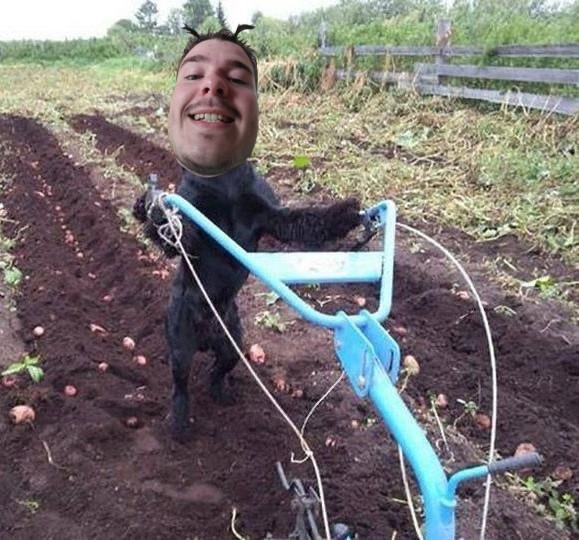 Create meme: motorcycle cultivator mole, a spud for a tillerblock, homemade cultivator