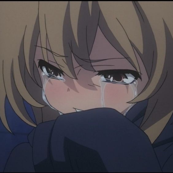 Create meme: Anime Toradora Taiga is crying, weeping Chan, toradora anime