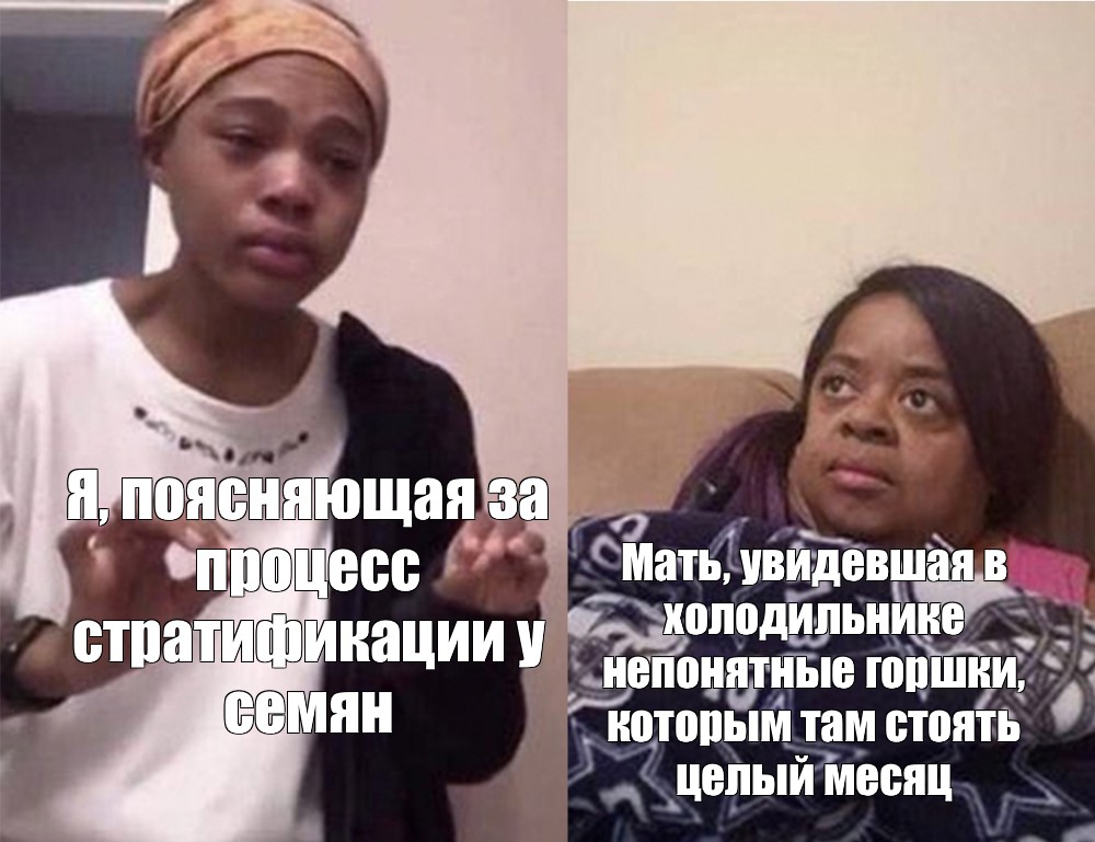 Мем маму мав