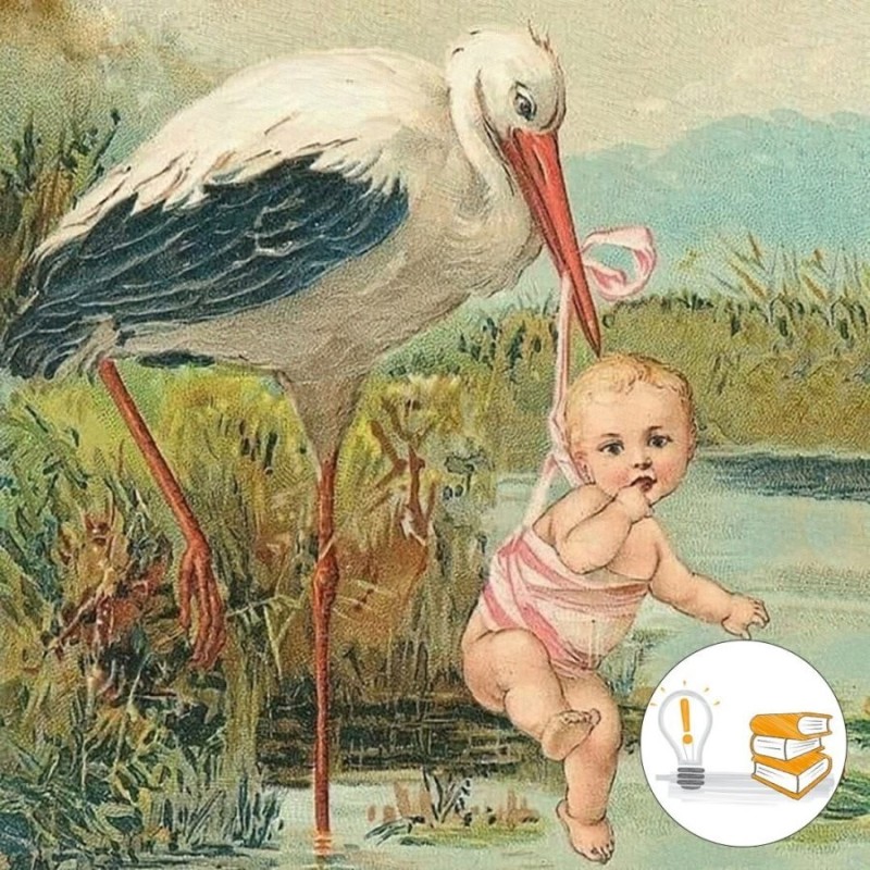 Create meme: stork with baby, stork with baby, The stork brought the baby