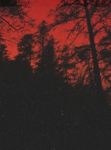 Создать мем: red aesthetic, forest