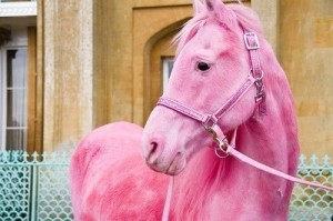 Создать мем: розовый пони, пинк хорс, розовая лошадка