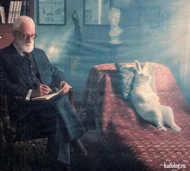 Create meme: Sigmund Freud , Sigmund Freud with a dog, cat 