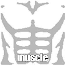 Create meme shirt roblox, muscle t shirt roblox, muscle get - Pictures 