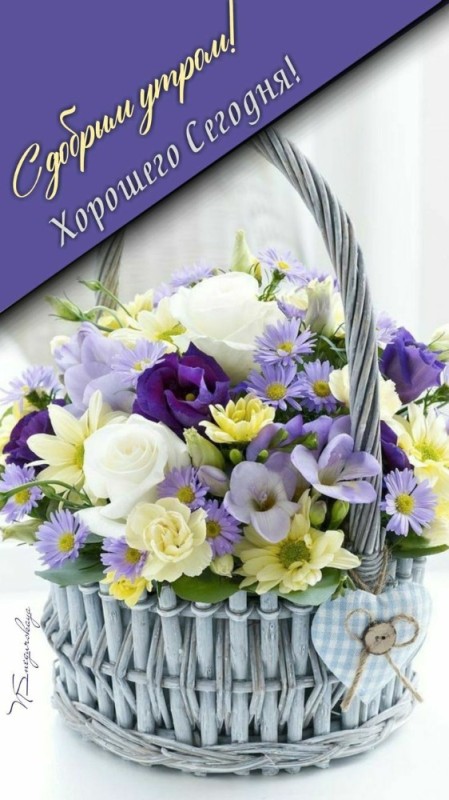 Create meme: flowers basket , flowers in a basket, basket of flowers