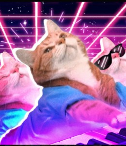 Создать мем: прослушивание музыки, кошки, кошачье фортепиано
