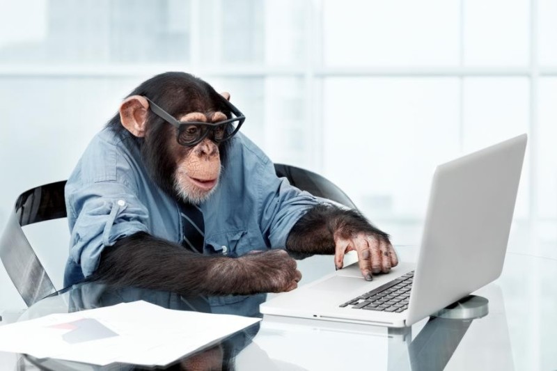 Create meme: the monkey behind the computer, monkey , monkey in the office