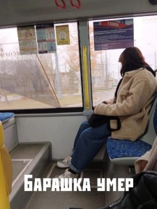 Create meme: memes about the bus, memes, the tram