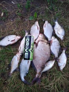 Create meme: fishing on the river, the bream fishing