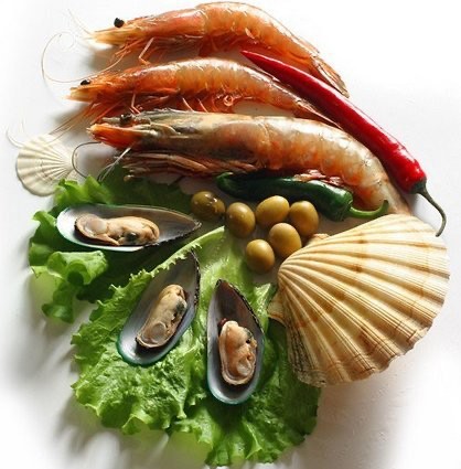 Create meme: seafood, seafood and fish dishes, seafood dishes