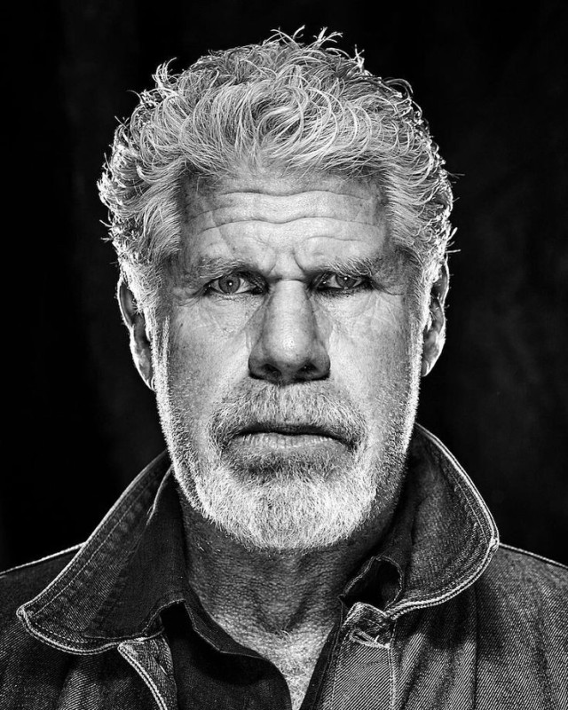 Create meme: Perlman Ron, perlman, Anthony Bourdain