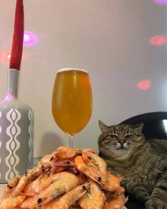 Create meme: fried shrimp, cat