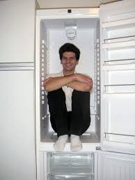 Create meme: the man in the refrigerator, refrigerator , built-in refrigerator