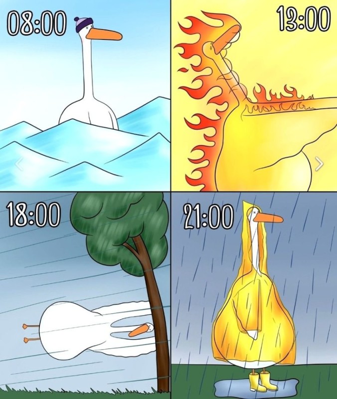 Create meme: briefly about the weather humor, temperature changes, goose comic