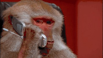 Create meme: a monkey with a phone, a monkey with a phone