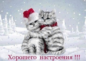 Create meme: good morning winter, Wallpaper desktop winter cats, winter funny cat pictures animation